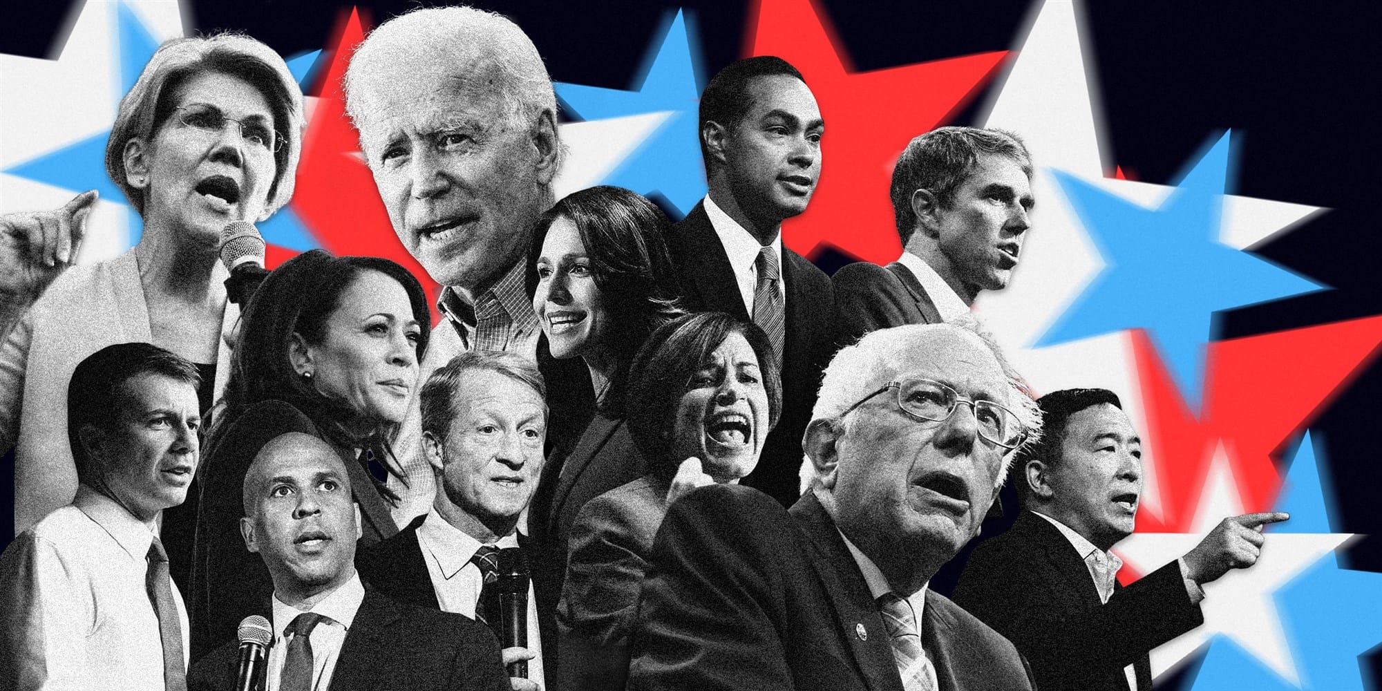Twelve 2020 democratic presidential candidates